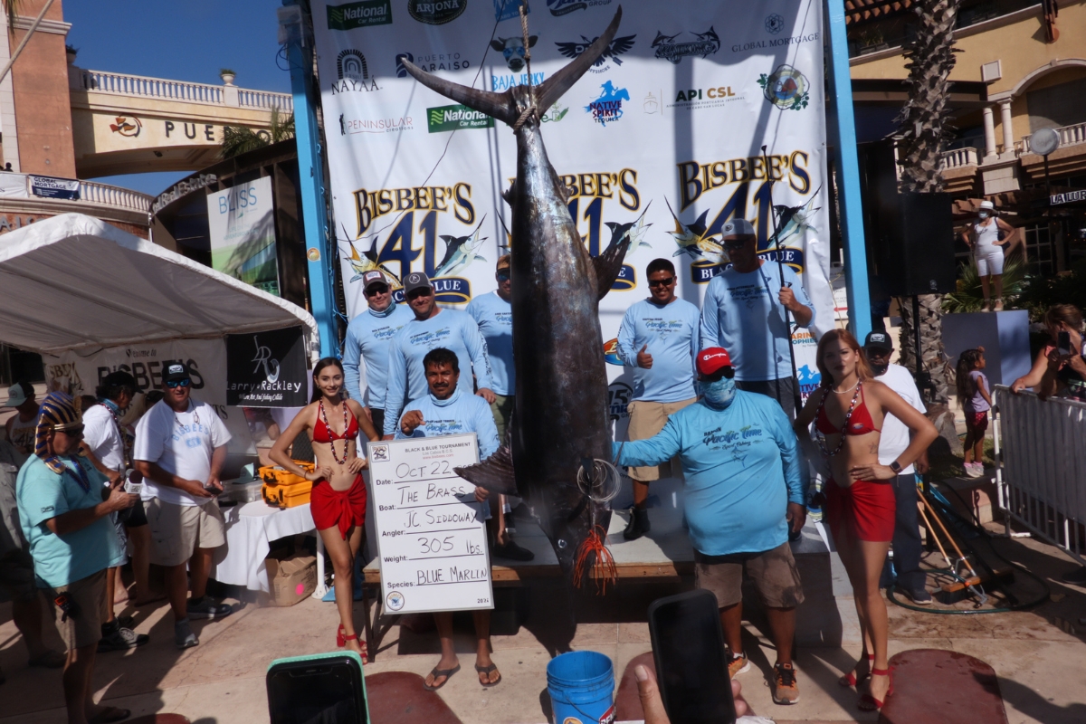 Cabo Sport Fishing 2 v2