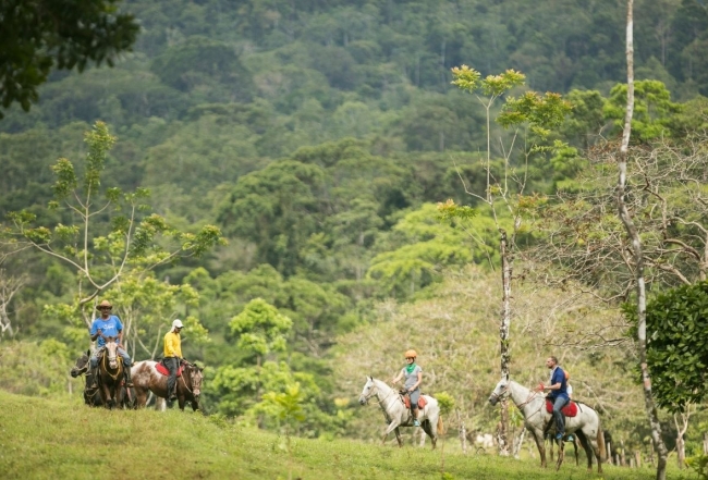 Costa Rica Cultural Safari 3