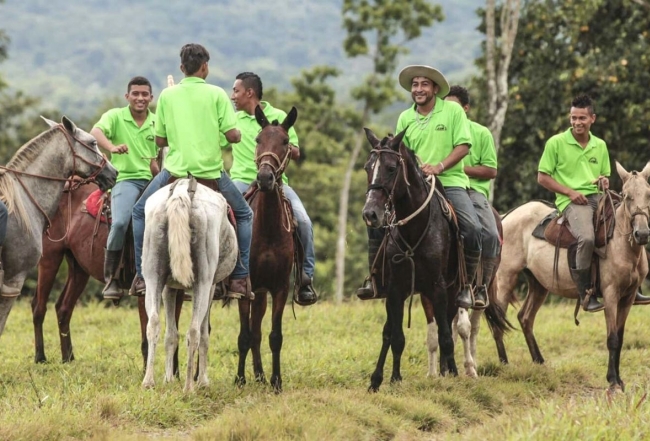Costa Rica Folkloric horses