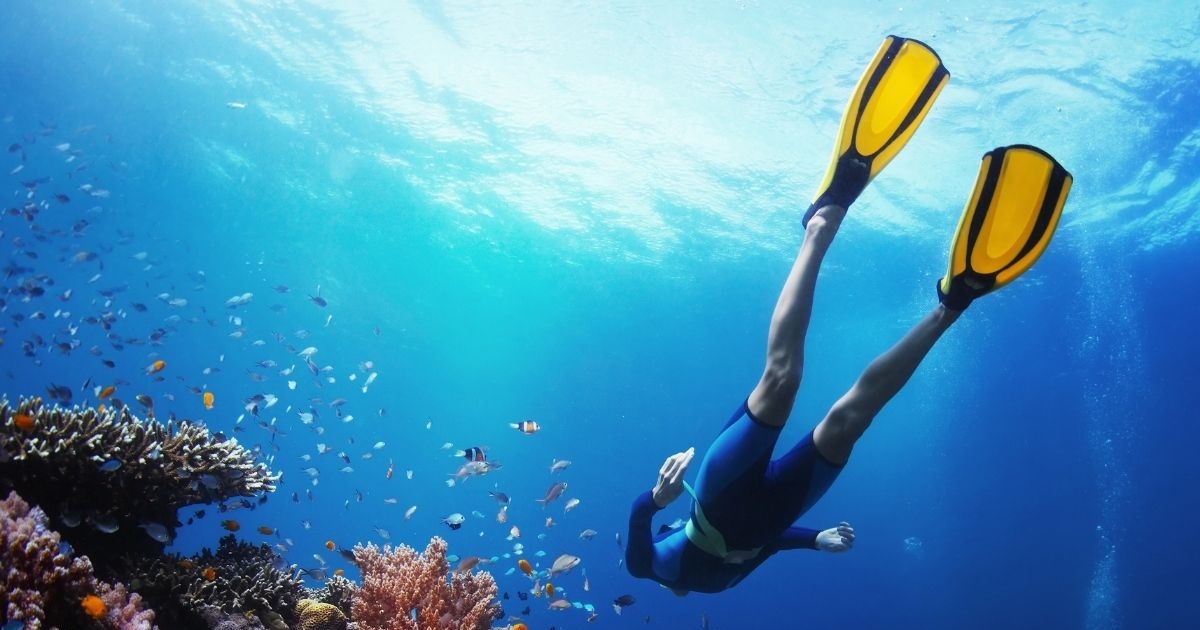 Diving Charter Shutterstock 1200x800