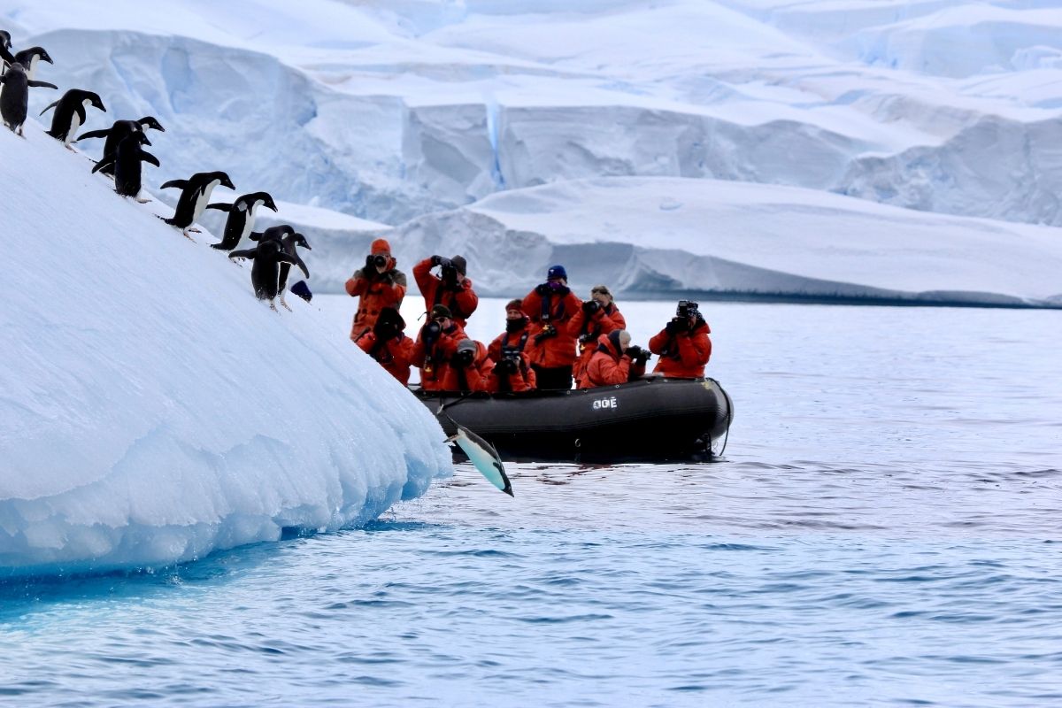 Antarctica Patzi Haslimann 1200x800 2