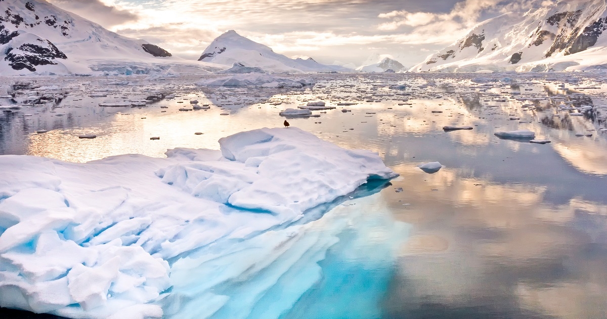 Antarctica Shutterstock