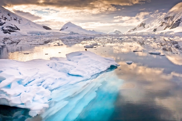 Antarctica Shutterstock