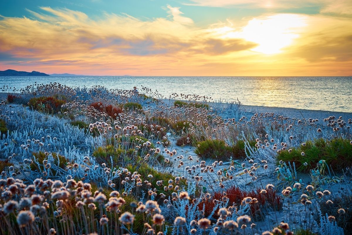 Corsica and Sardinia Shutterstock 1200x800 3