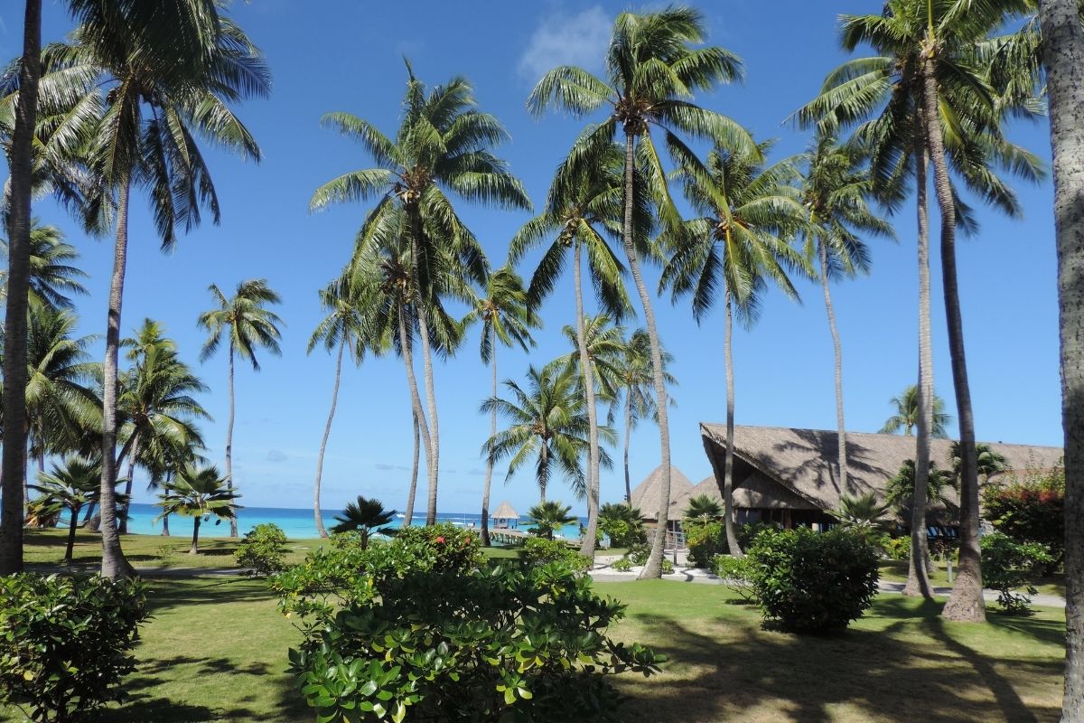 French Polynesia Sam 1200x800