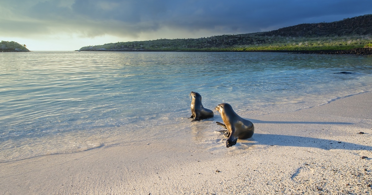 Galapagos iStock