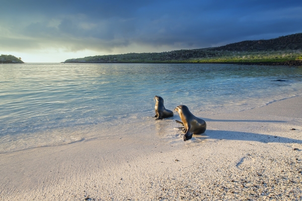 Galapagos iStock