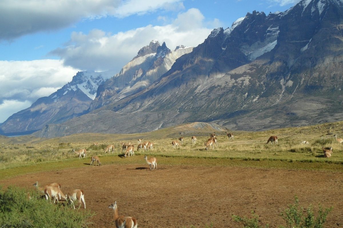 Patagonia Pixabay 1200x800 6