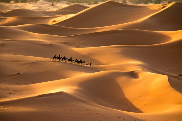 Saudi desert shutterstock 523358626