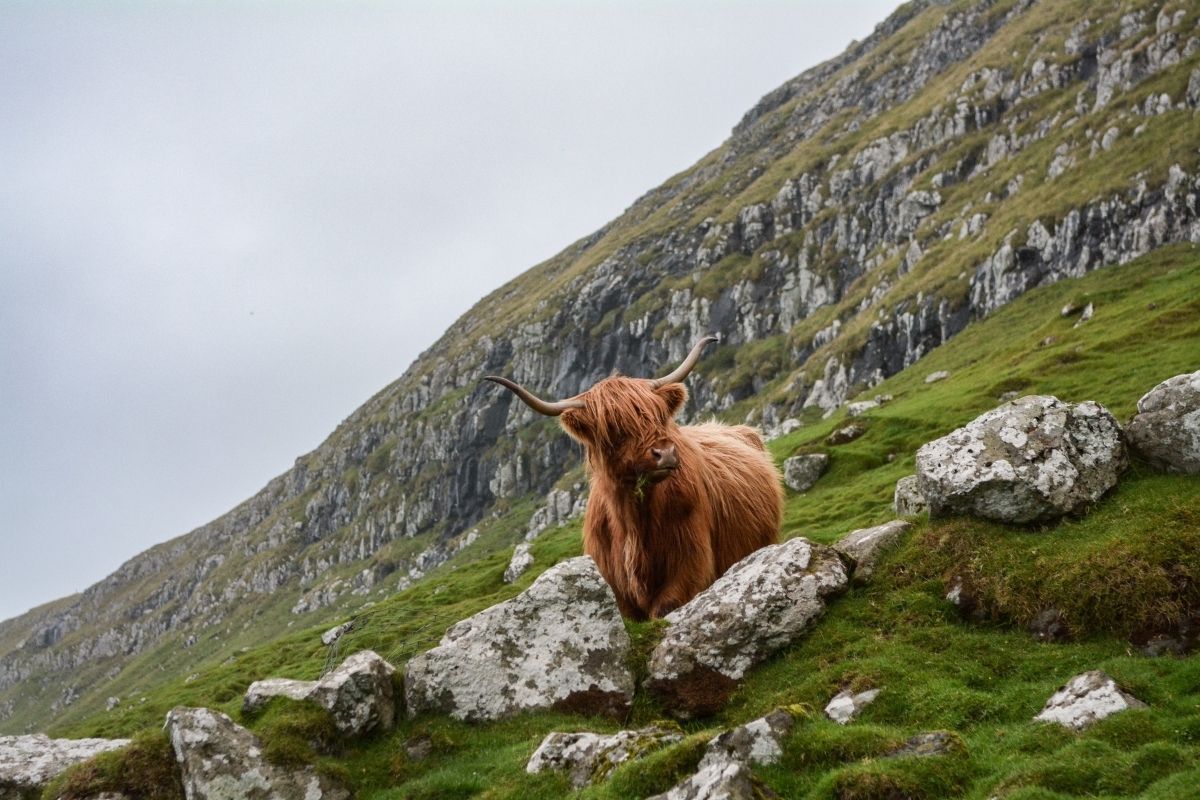 Scotland Unsplash 1200x800