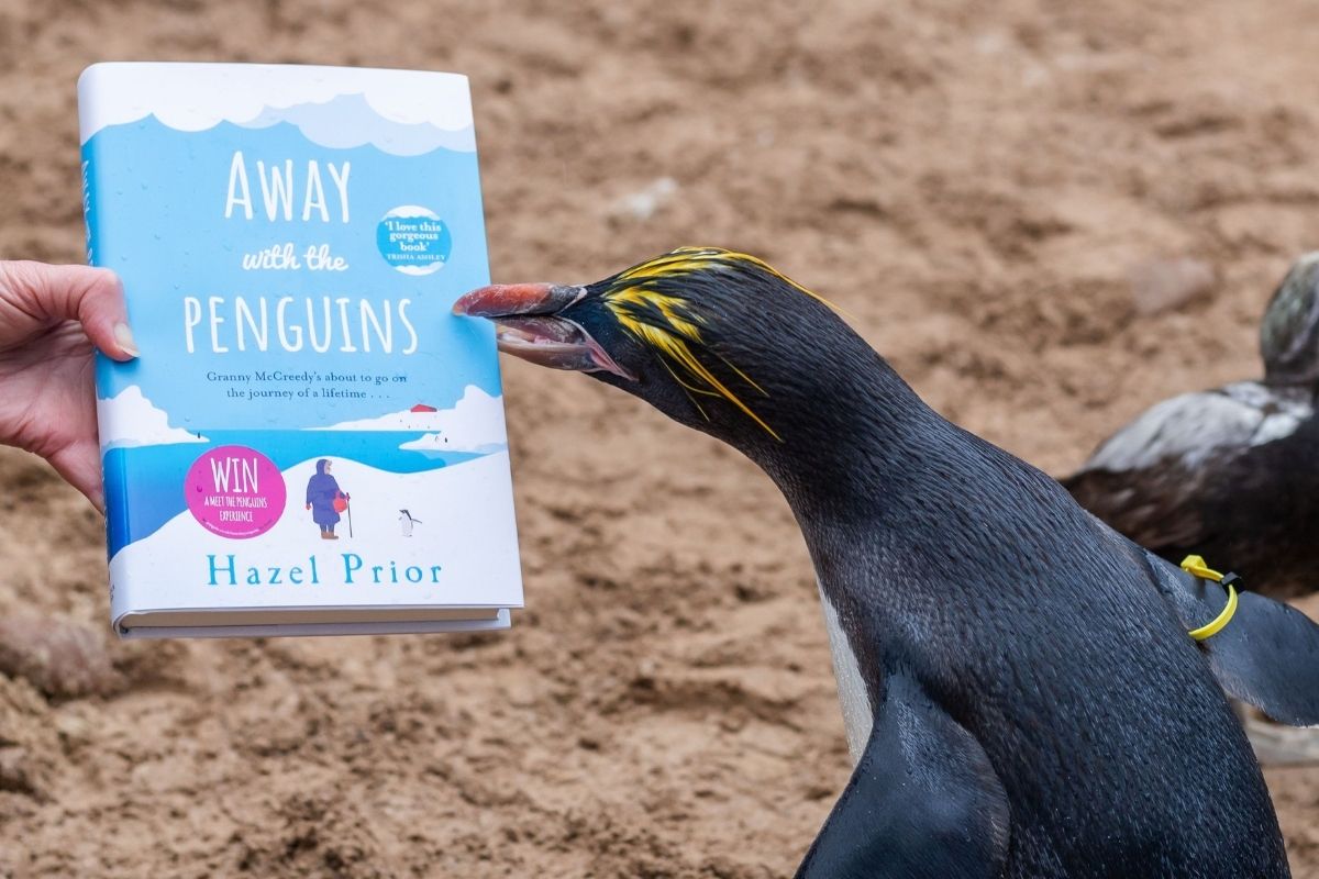 Hazel Prior Away With The Penguins 3 Hazel Prior Away With The Penguins 3