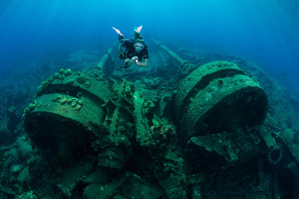 Bermuda PADI 3