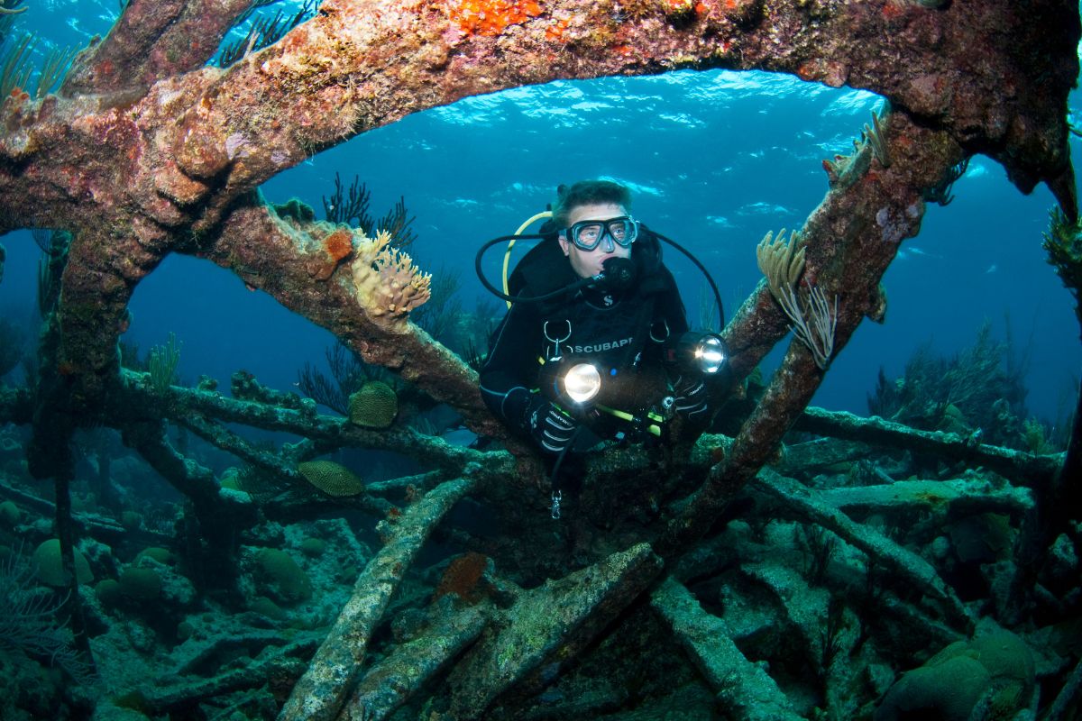 Bermuda PADI 4