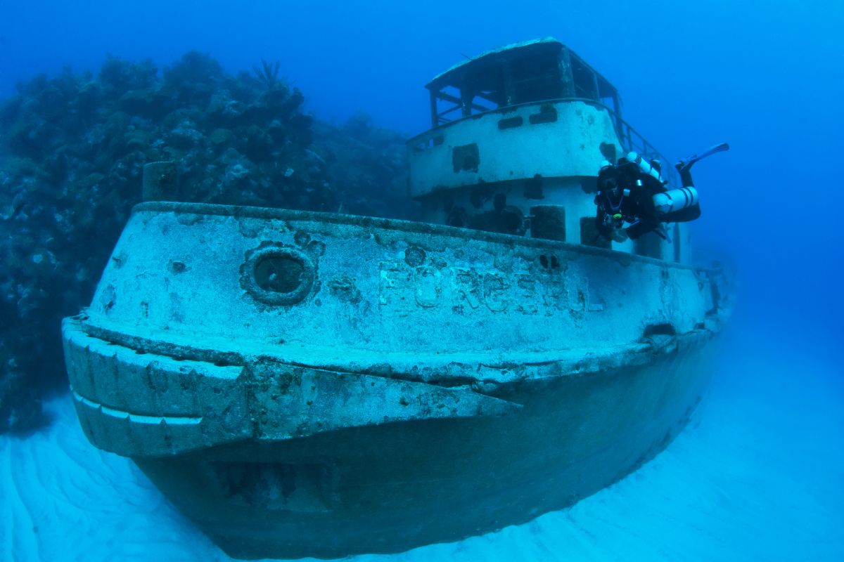 Bermuda PADI 6