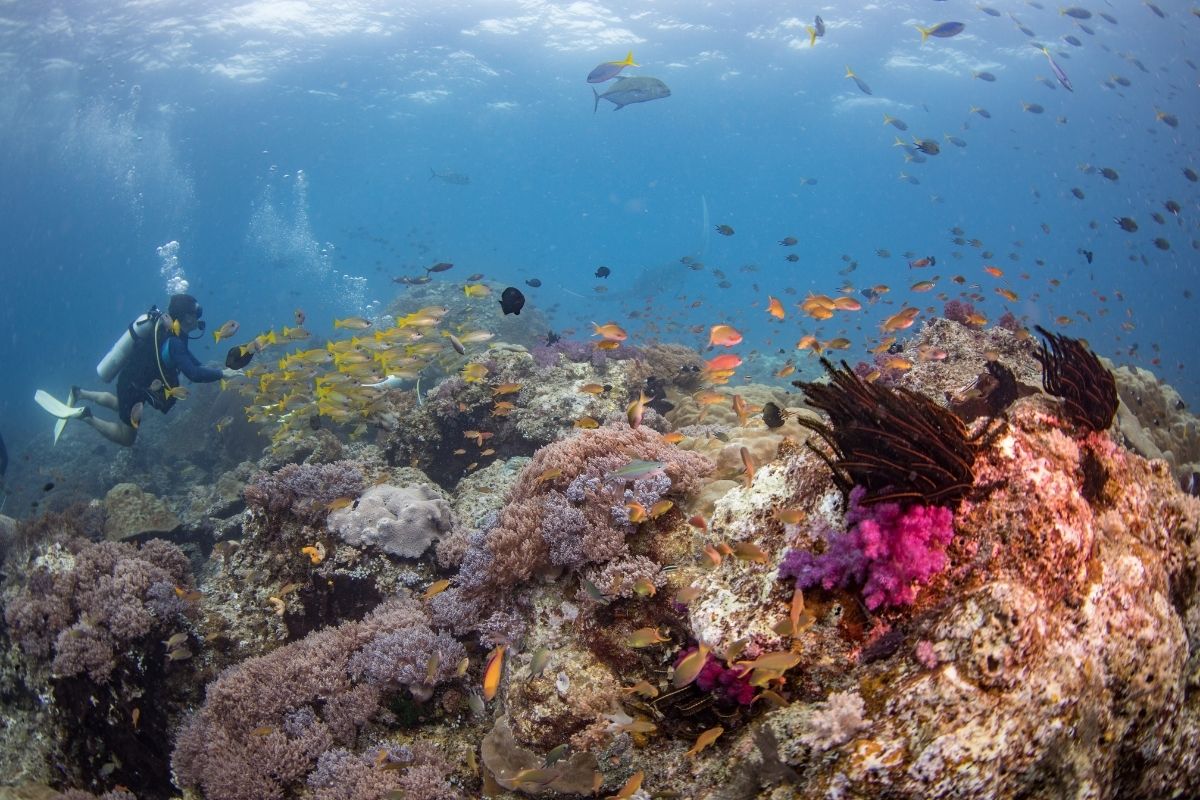 Rodolphe Holler Tahiti Private Expeditions 1200x630